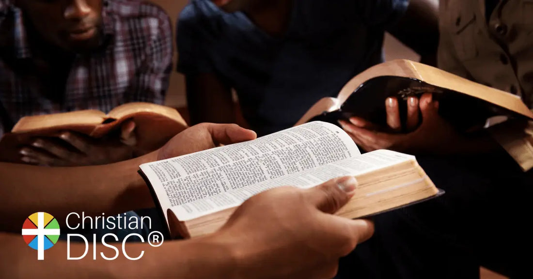 Christian DISC® for Small Groups and Bible Studies - Christian DISC®